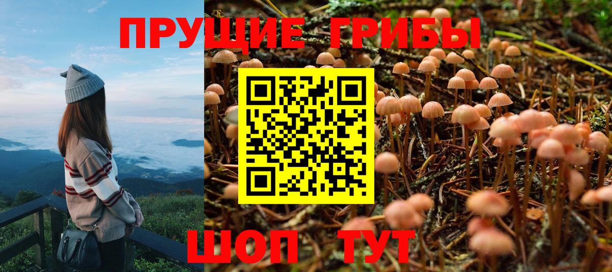 Псилоцибиновые грибы Magic Shrooms Искитим