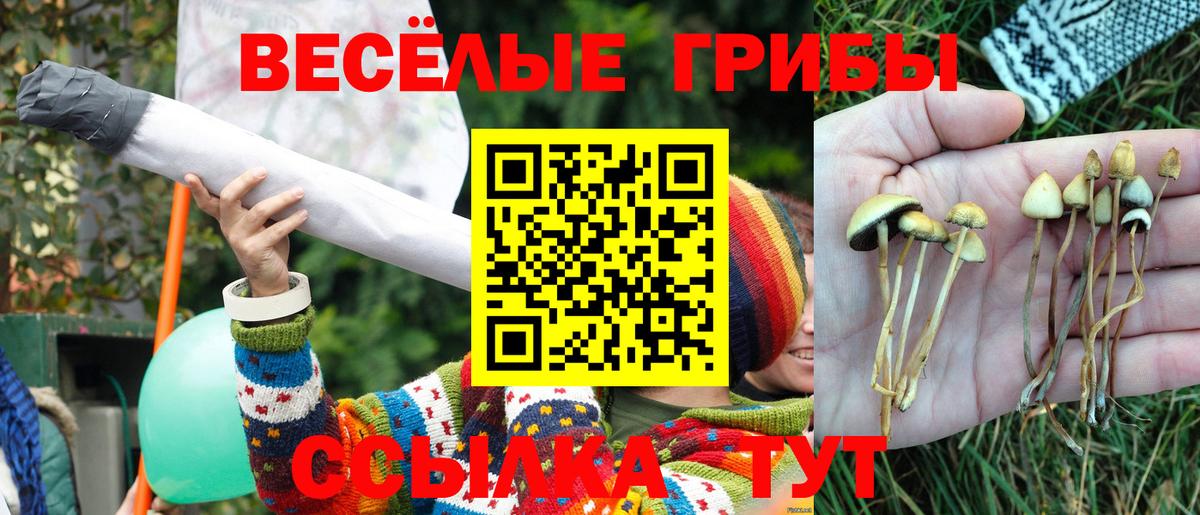 Галлюциногенные грибы Psilocybine cubensis  Псилоцибиновые грибы Psilocybine cubensis  где найти   Вход с VPN  Искитим 